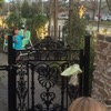 resIMG_20160218_180443_2913.JPG